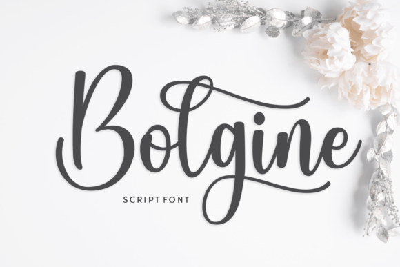 Bolgine: An Elegant Script Font for High-End Branding
