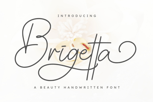 Elevate Brand Visuals with the Brigetta Typeface