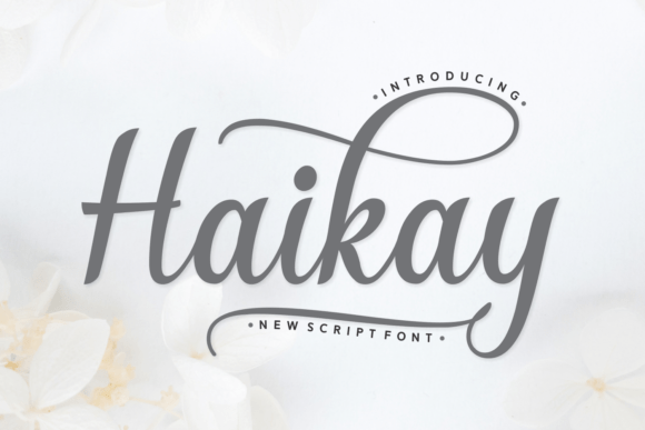 Haikay: The Elegant Script Font for Modern Branding