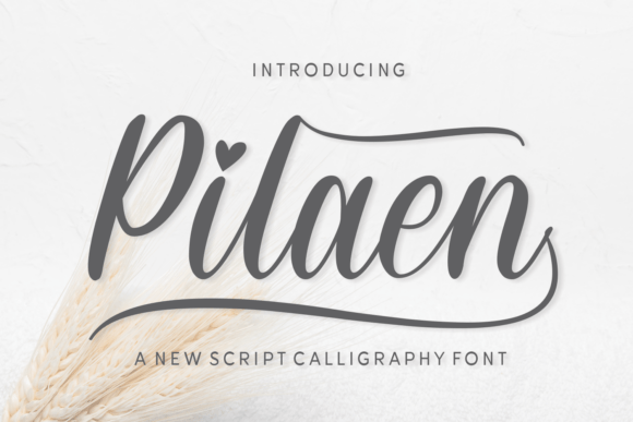 Pilaen Font Review: A Script Handwritten Typeface for Campaigns