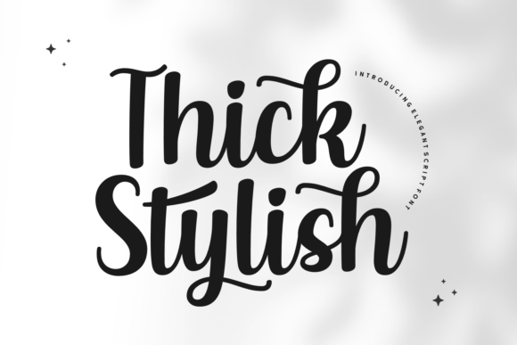 Thick Stylish Font for Bold Business Branding
